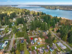 The Great Pacific NW - tree blend into the water even in our relaxed neighborhoods...