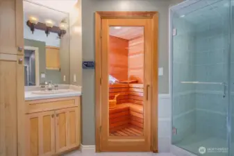 Lower level 3/4 bathroom with a sauna.