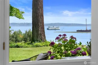 Enjoy watching and experiencing the rhythm of ferries coming and going