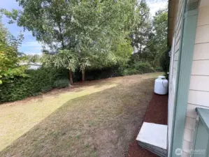 Side yard