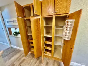 Lots of storage and pull outs in large built-in pantry.
