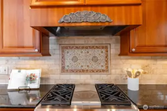 Gas stove in chef's kitchen