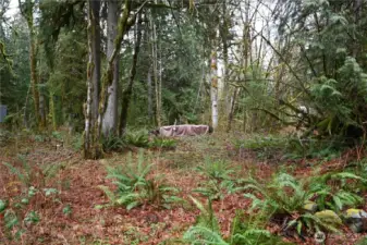 LEVEL space ~ 120X90 corner lot