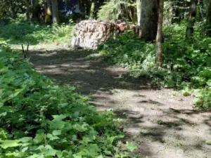 Surrounded by nature.