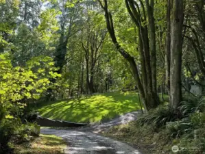 This could be a good building site.