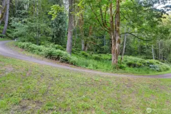 Looking at one of the possible building sites on the five acres.
