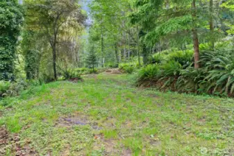 Another possibable building site on the upland 5 acres