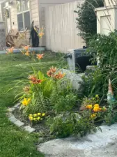 Front yard last Spring