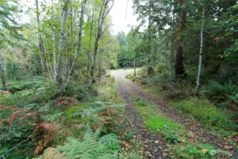 From the top of the drive looking down to the property.