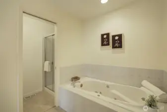 A walk-in shower is also featured in the Ensuite bathroom.