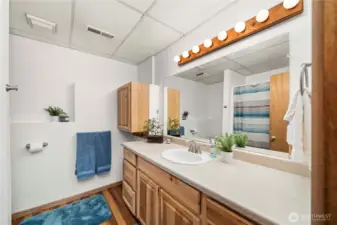 Lower level full bathroom with updated vanity.