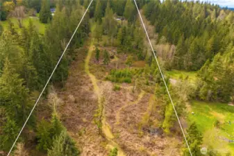 Middle part of the property showing the road that travels from the home to the pastures. This area can be left wooded for a nice privacy buffer or you can add more roads and trails for ATV fun. You could also clear this area to add additional pastures!