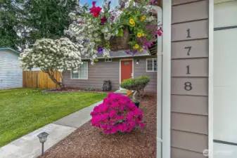 The foliage is blooming and blossoming, adding amazing curb appeal.