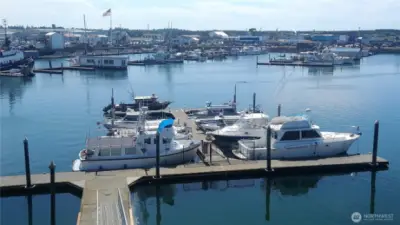 Summer at the docks!