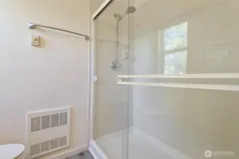 Close up of the large shower in the primary bath.