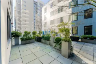 Private patio space just outside your door.