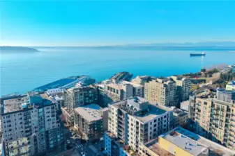 Aerial photo above the Parc towards the Sound and Sculpture Garden