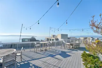 Beautiful, expansive rooftop deck.