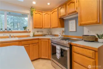Large window over sink that looks to the back yard