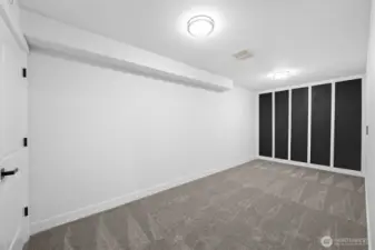 Lower level bonus roow with closet.