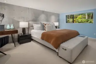 The 2nd lower level bedroom.