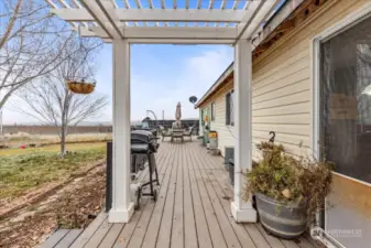 Back Deck with Pergola