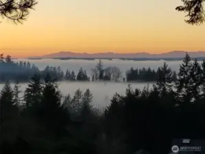 Morning fog over Henderson Bay