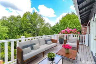 Wrap around patio deck with private, serene views.