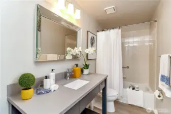 Lower level - 2nd full bath