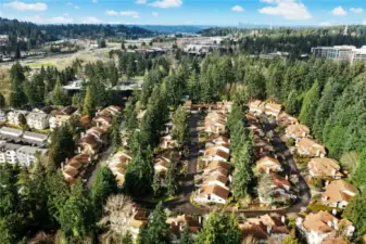 Your home lies at the edge of Spiritridge Townhomes. In this photo, it's at the foot of the photo, behind the tall maple.