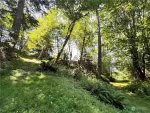 Trail to garage and beach