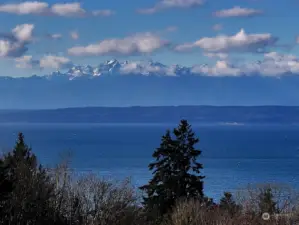 Enjoy the beauty of the snow-capped Olympic Mtns. Watch the passing ships and submarines. Enjoy the natural wildlife; eagles, opsrey, & herons!