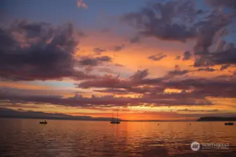 Welcome to Whidbey, Welcome Home!