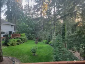 Alternate View of the backyard.