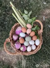 A Bountiful Basket of Homegrown Goodness!