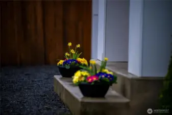 Colorful and Cheery Flowers