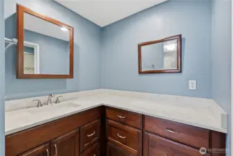 The sink and '*generous* counter space in second en suite on main level.