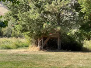 Hidden tree house