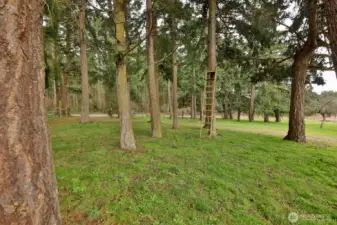 Beautiful treed setting.