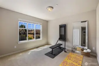 5th bedroom or Gym