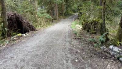 Road through 7511