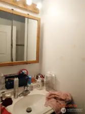 Back bathroom