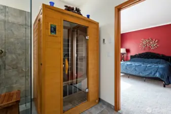 Primary sauna, every bathroom should have one.