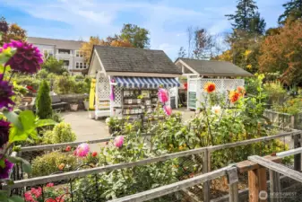 The Pea Patch is a great place to chat with other gardeners.