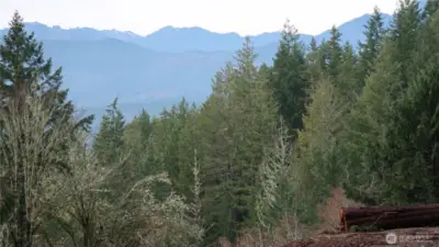 Great view of the mountains from the property