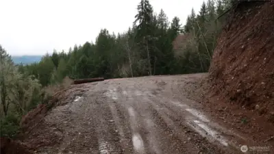 clear area to enjoy get together and have a fun.