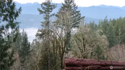 View of the hood canal and mountains from the open area.