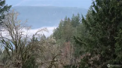 View keeps on going with lots of big trees.