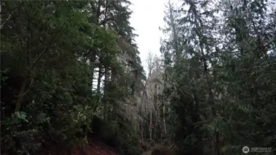 More view of the property.