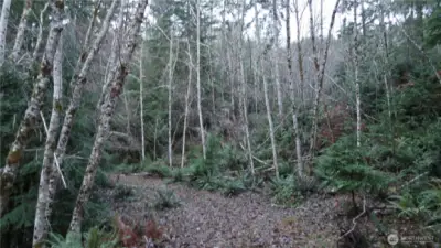 More of the property view